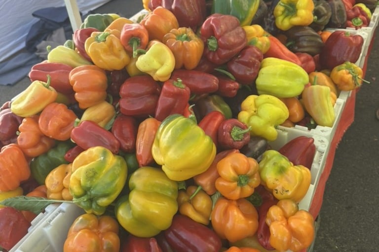 Colorful bell peppers at a Jackson Hole farmers market stand
