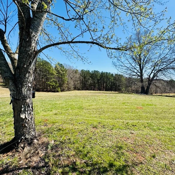 SOLD: The Perfect Property for Your Dream Estate! A Closer Look at the Stunning 14-Acre Estate Near Pelzer, SC