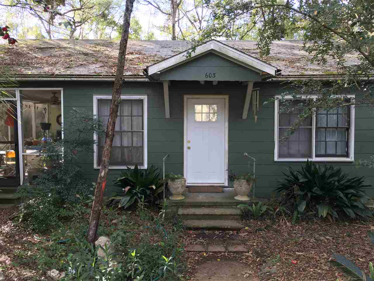 A small green-painted house surrounded by lush trees in a serene outdoor setting.