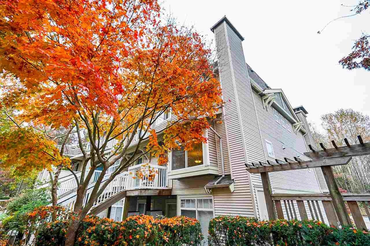 7488 Southwynde Ave, #20