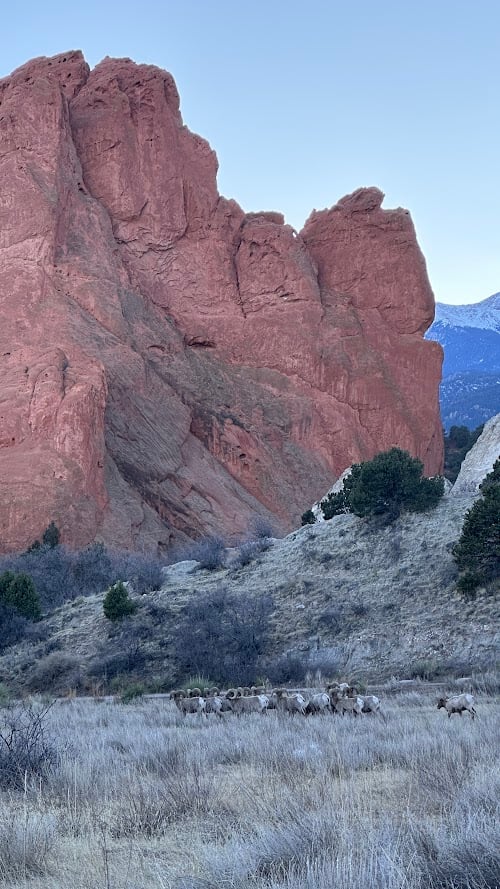 Garden of the Gods: Where Colorado Springs Comes Alive