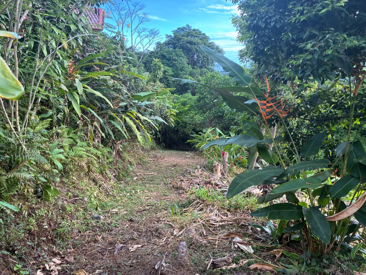 Spectacular Ocean View Lot in Ojochal Phase 9