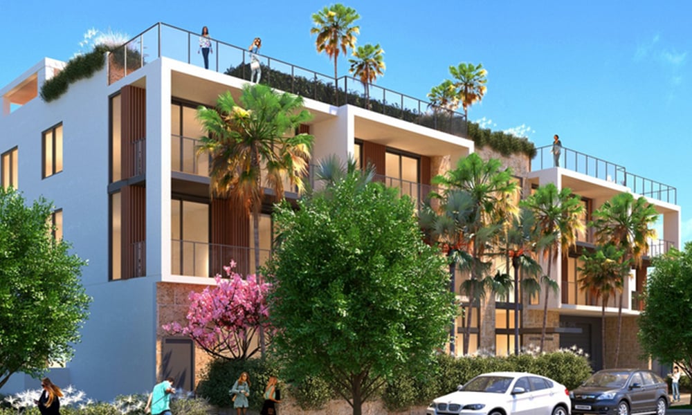 Roble One Coconut Grove