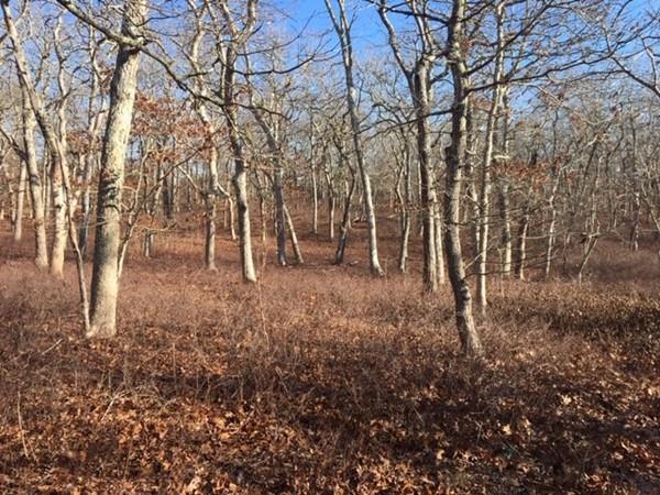 0 Bartlett Woods
