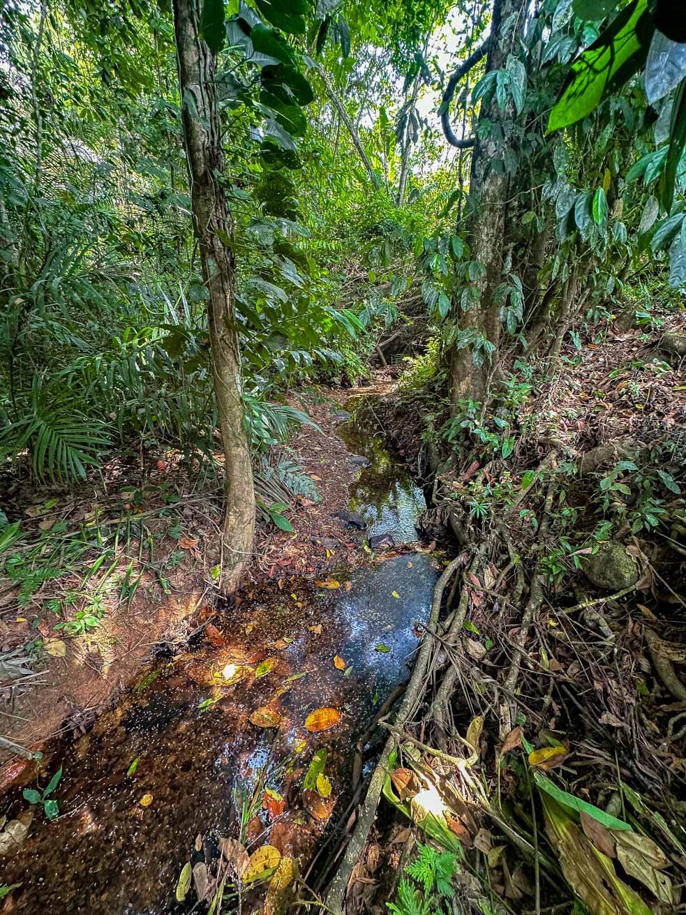 23-Acre Prime Highway Frontage Lot Near Ojochal & Ocean