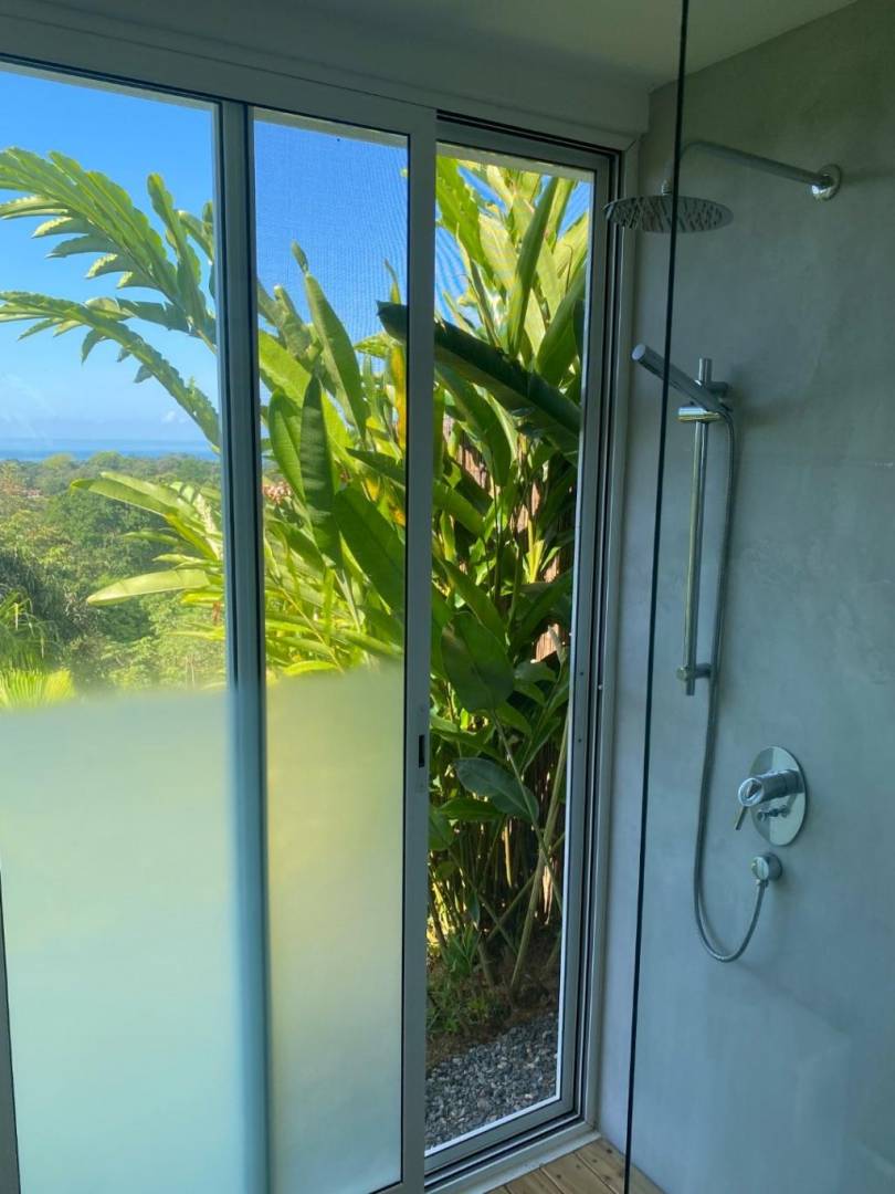 Terra Lodge - Income producing property with two apartments, swimming pool and 1 bedroom home.