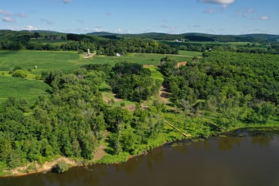 Shire Wood - August Update
