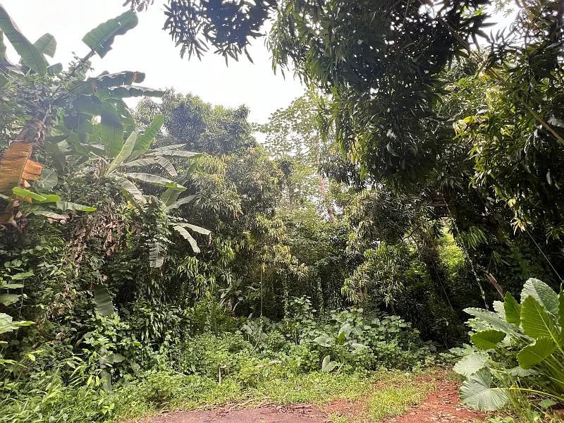 Carr 349 Km 1.01 Bo Quebrada Grande