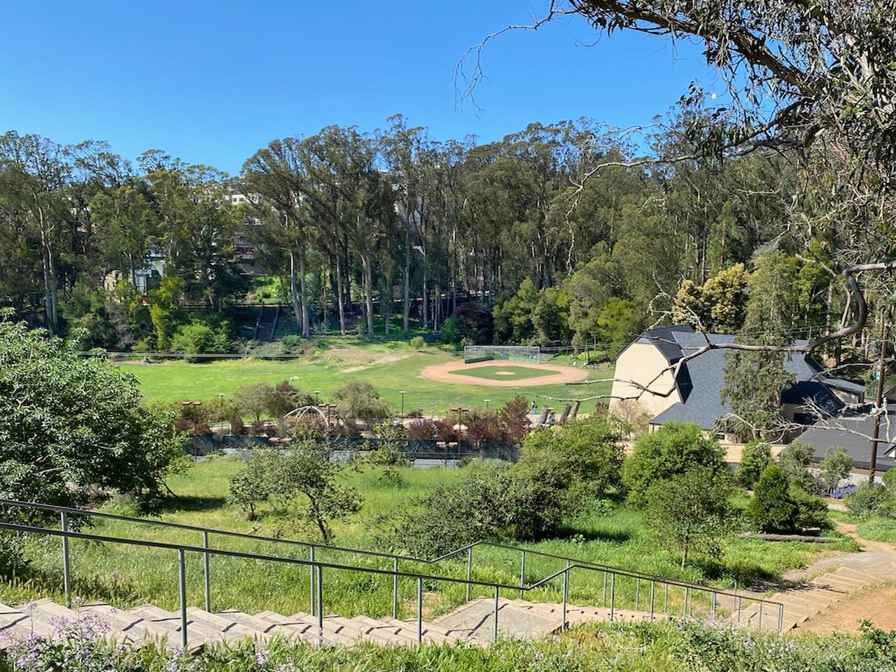 District 5 – Central