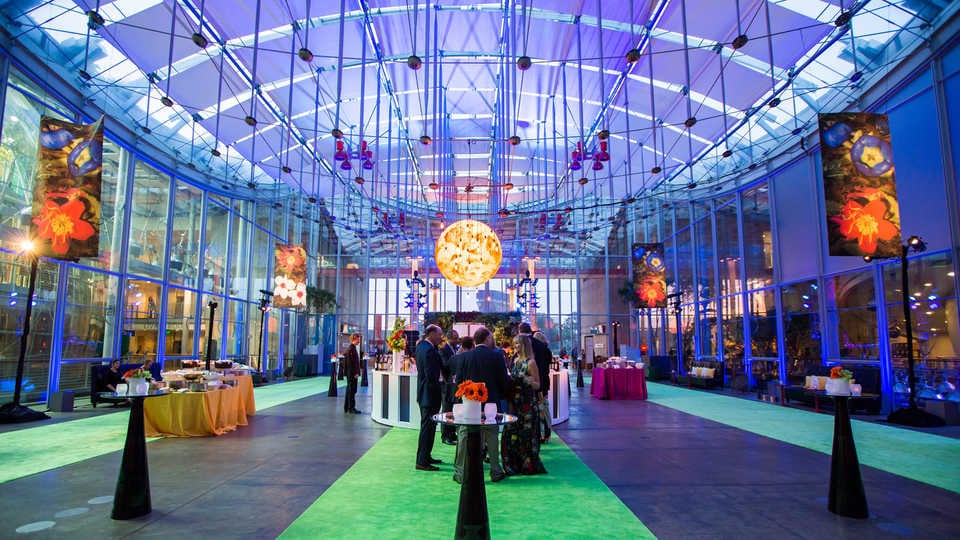 The Best Indoor Activities in SF for November