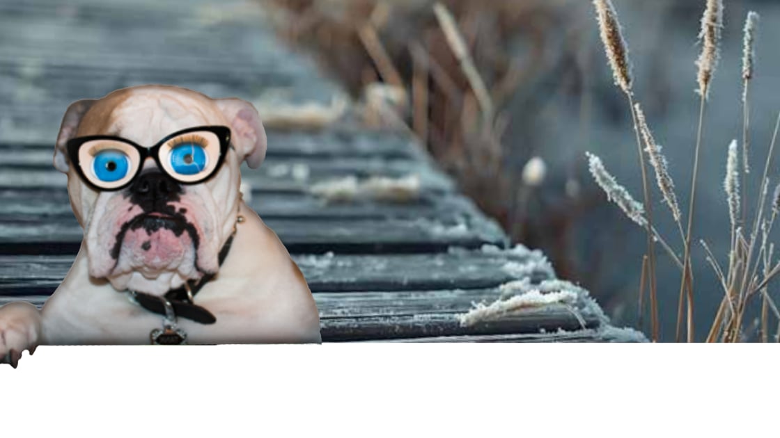 See What’s Happening at the Lake: January & February 2026