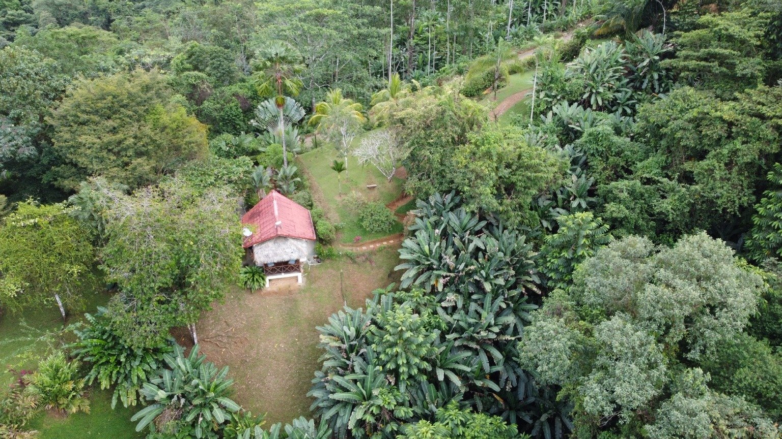 Stunning 3.5-Acre Ocean View Property in Costa Rica – Endless Possibilities Await!