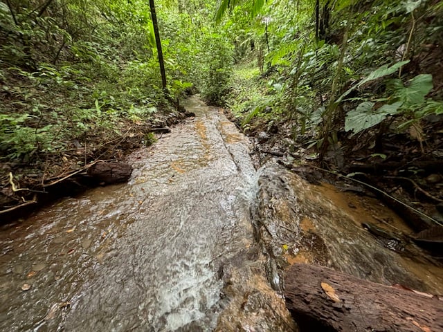17.85 ACRES – Stunning Large Land With 2 Waterfalls Near Dominical Beach!!!
