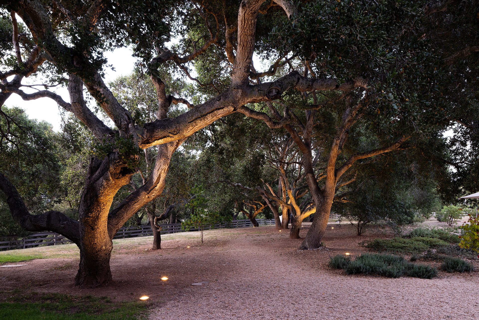 The Miramonte Estate