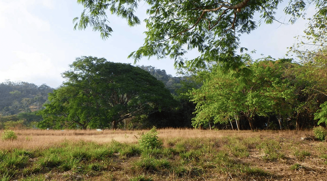 La Reserva Commercial Lot, Playa Camaronal / , Zapotal, Nandayure, Guanacaste