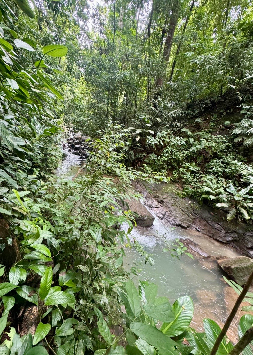 VILLA TURQUESA, MAJESTIC OASIS WITH EXTRA BUILDING SITE, CLOSE TO THE BEACH & WILDLIFE 