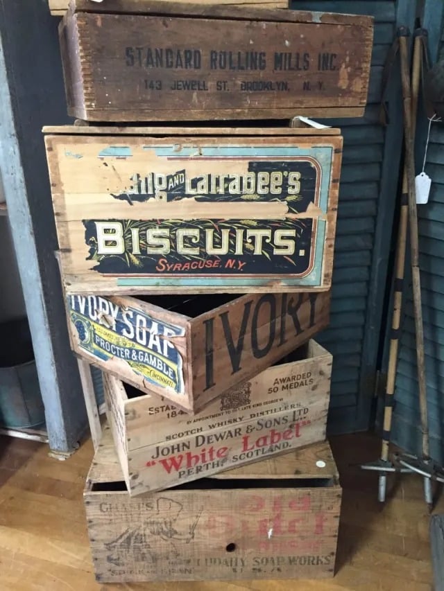 Cool Finds in Upstate NY