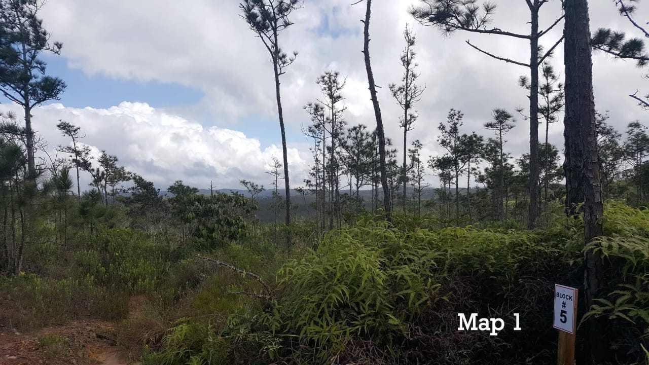 Gorgeous 5.24 acre mountain top parcel in the magnificent Maya Mountains of Belize