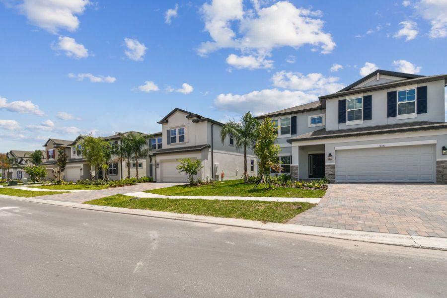 Residential neighborhood in Tampa Florida representing long-term homeownership and building equity