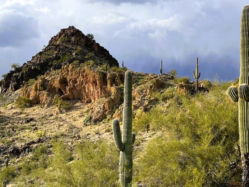Arizona Summers Are Misunderstood ☀️🌵
