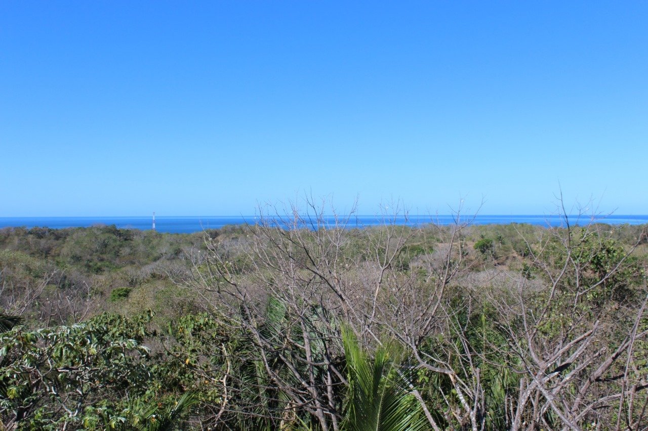 San Juanillo Farm | Large-Scale Ocean View Land with Investment Potential