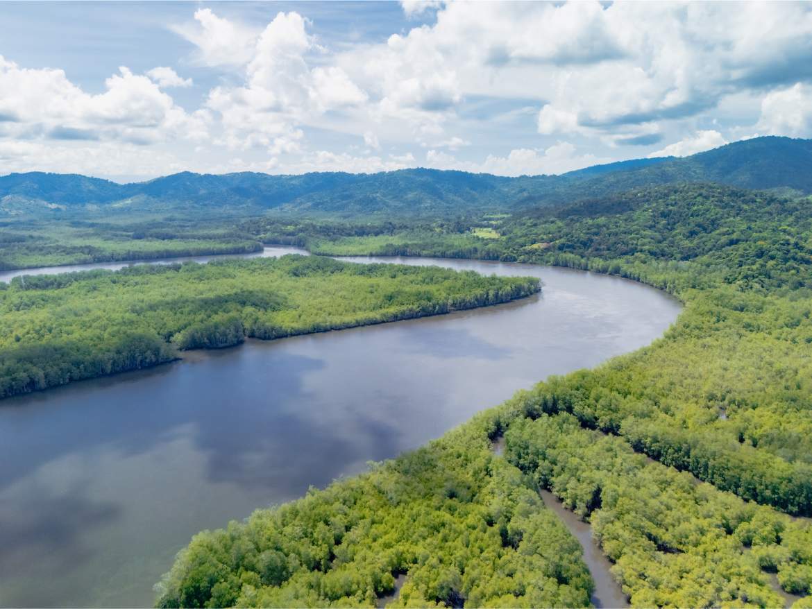 247 Acres of Riverfront Rainforest with Hospitality Potential - Sarangundí Eco-Development Sanctuary Near Corcovado