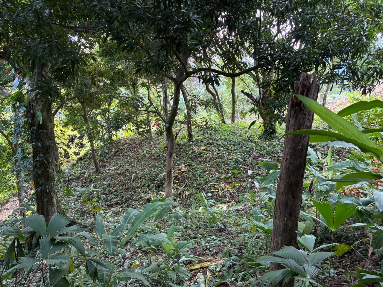Spectacular Ocean View Lot in Ojochal Phase 9