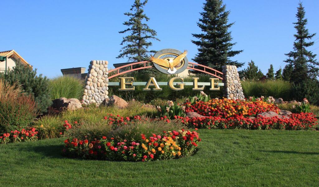 Eagle 