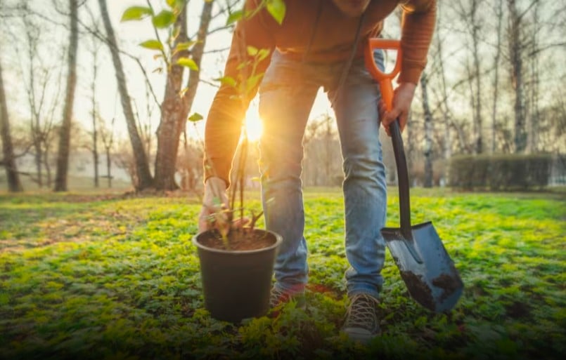 Increasing Your Home’s Value Might Start Next Door