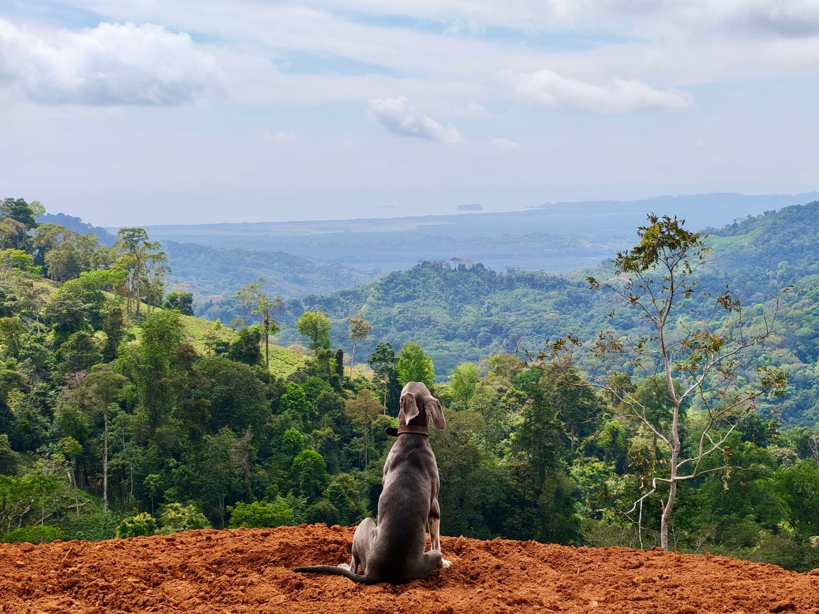 24.7-Acre Ocean View Eco Estate in San Cristóbal de Aguirre | 5 Building Sites
