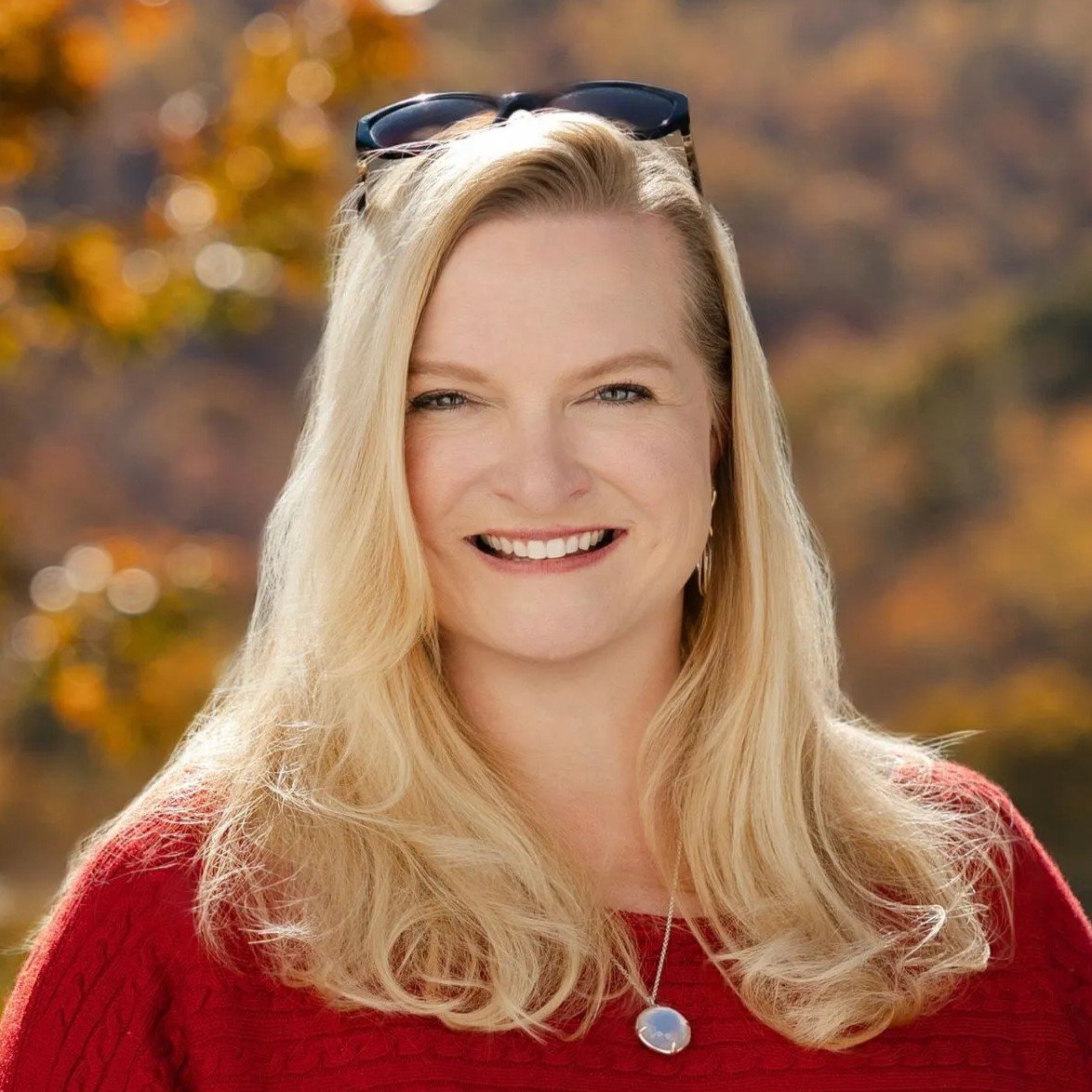 Wendy Swanson Blacksburg, VA Real Estate Agent Headshot 