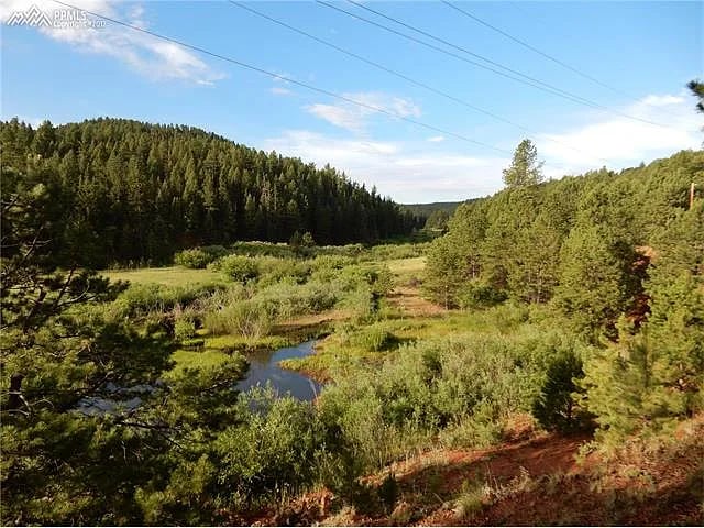 107 Morning Star Cir