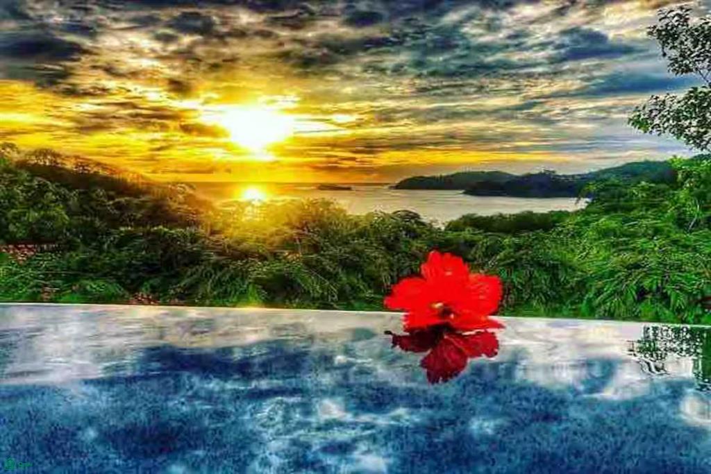 Villas Catalinas 12 - Casa Azul Oceano | 3 Beds · 3.5 Baths · Stunning Ocean Views