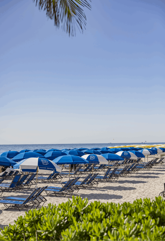 Sereno  Fort Lauderdale