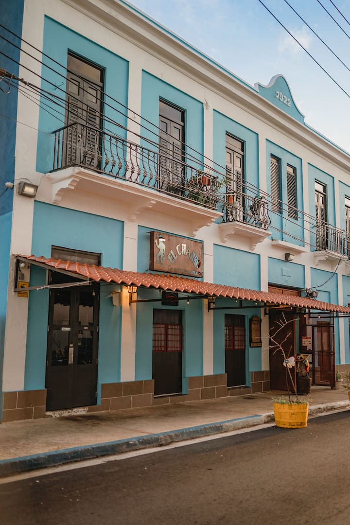 Casa Terra Porto #5 • Ground Floor • Walk to Beach - Airbnb