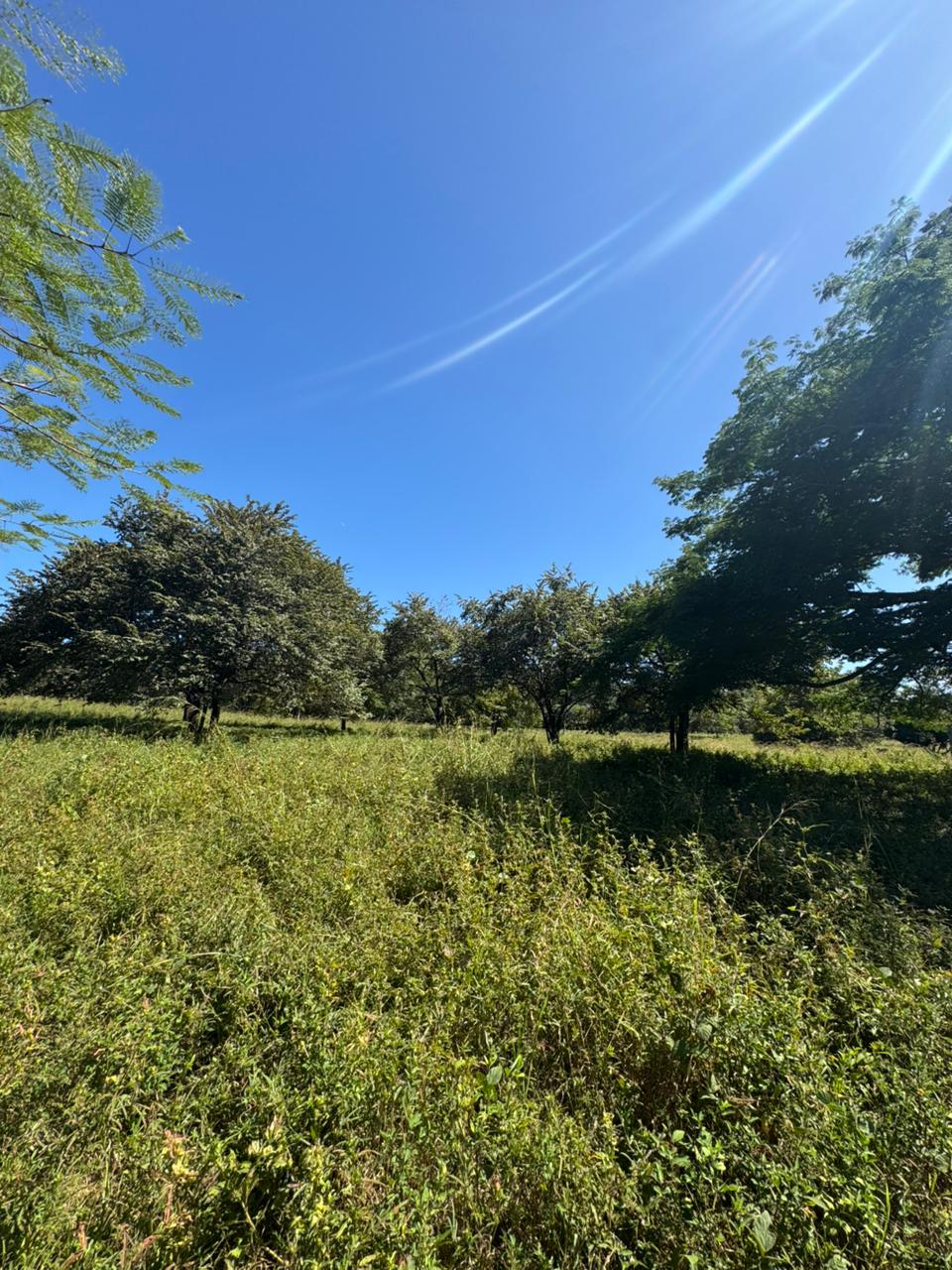 Shambala Estates Lot, Playa Avellanas