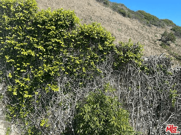 21323 Rambla Vista, #2