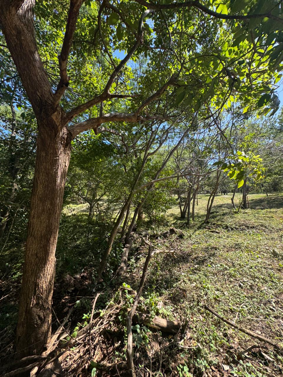 Shambala Estates Lot, Playa Avellanas