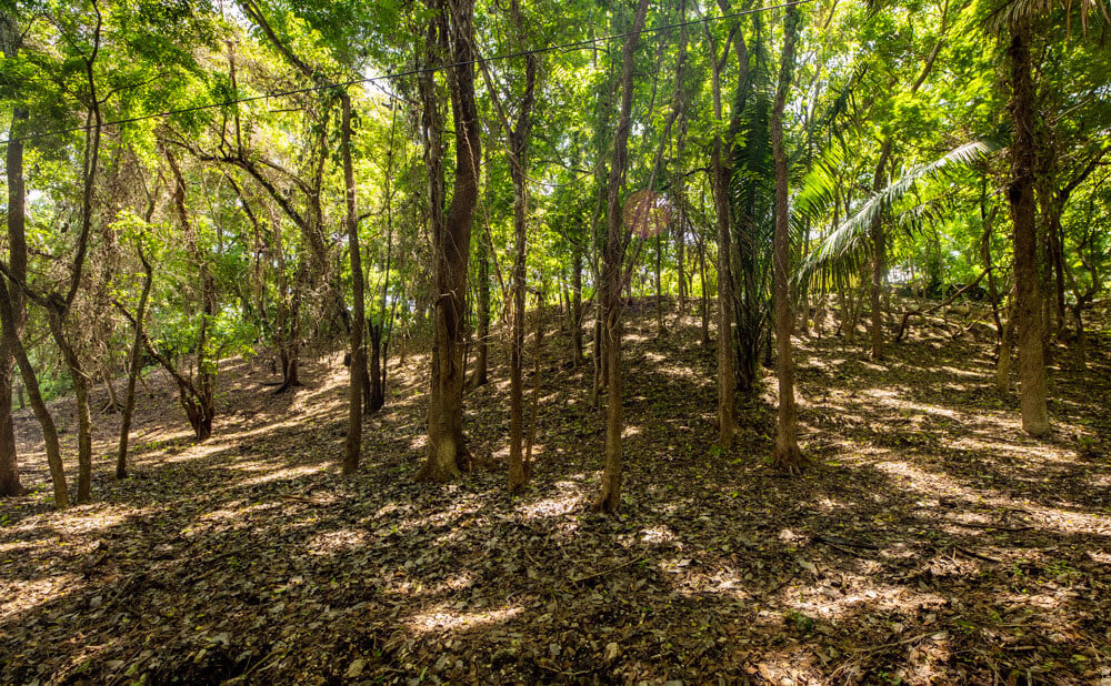 Secluded Surf Walk Building Lot, Nosara, Guanacaste