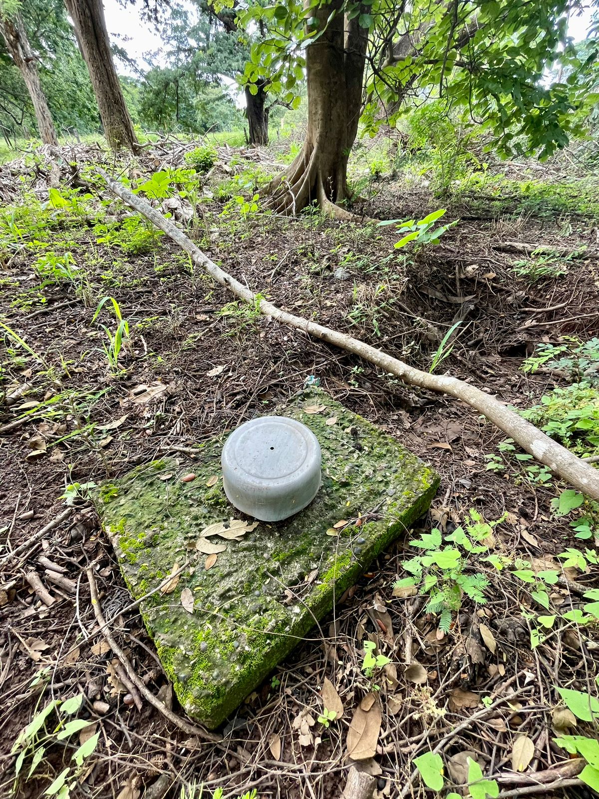 Salanitas Lot | Build Your Dream Home Near Playa Grande