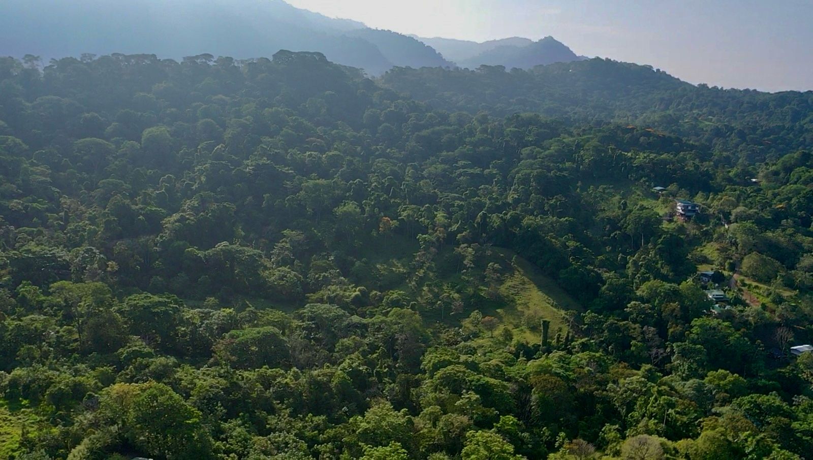Prime Ocean and Whale tail View Development Land In Uvita