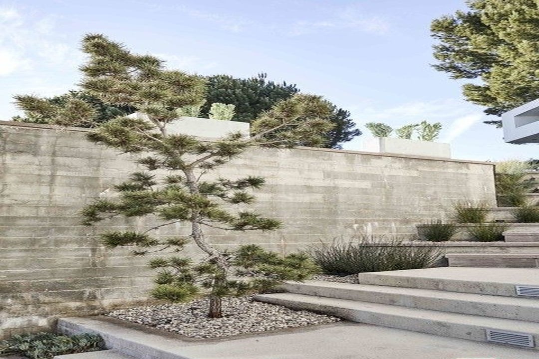 Jade House
