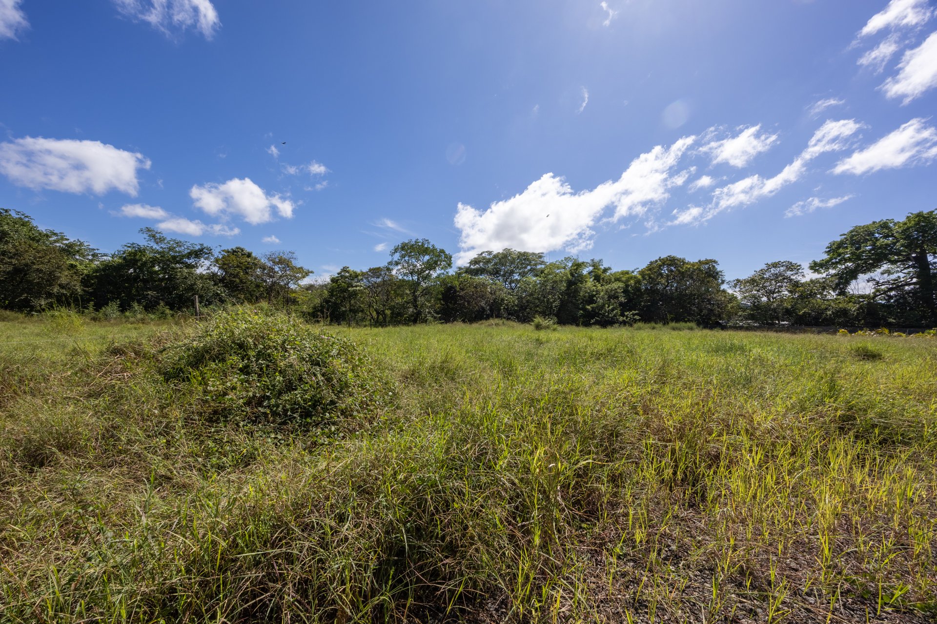 Los Jobos Lot #1 | 943 m² Lot for Sale Minutes from Tamarindo – Los Jobos