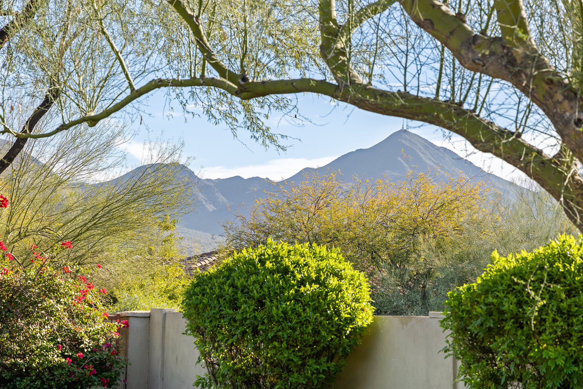 9778 E DESERT JEWEL Drive