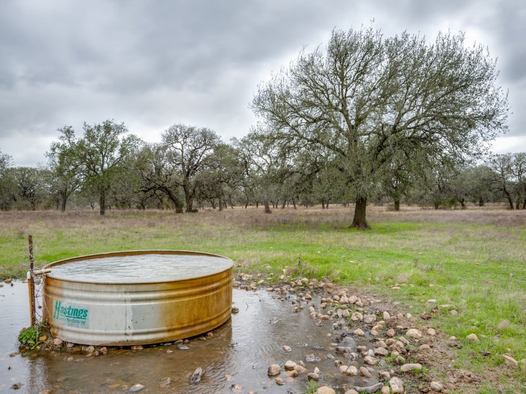 300 Acres in Goliad County 