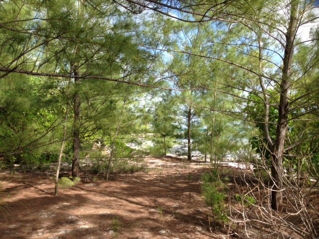 Beautiful Beachfront Development Site