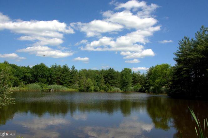 42165 Black Walnut Ln