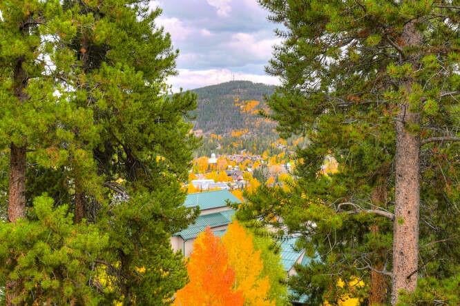 516 Kings Crown Rd, #516