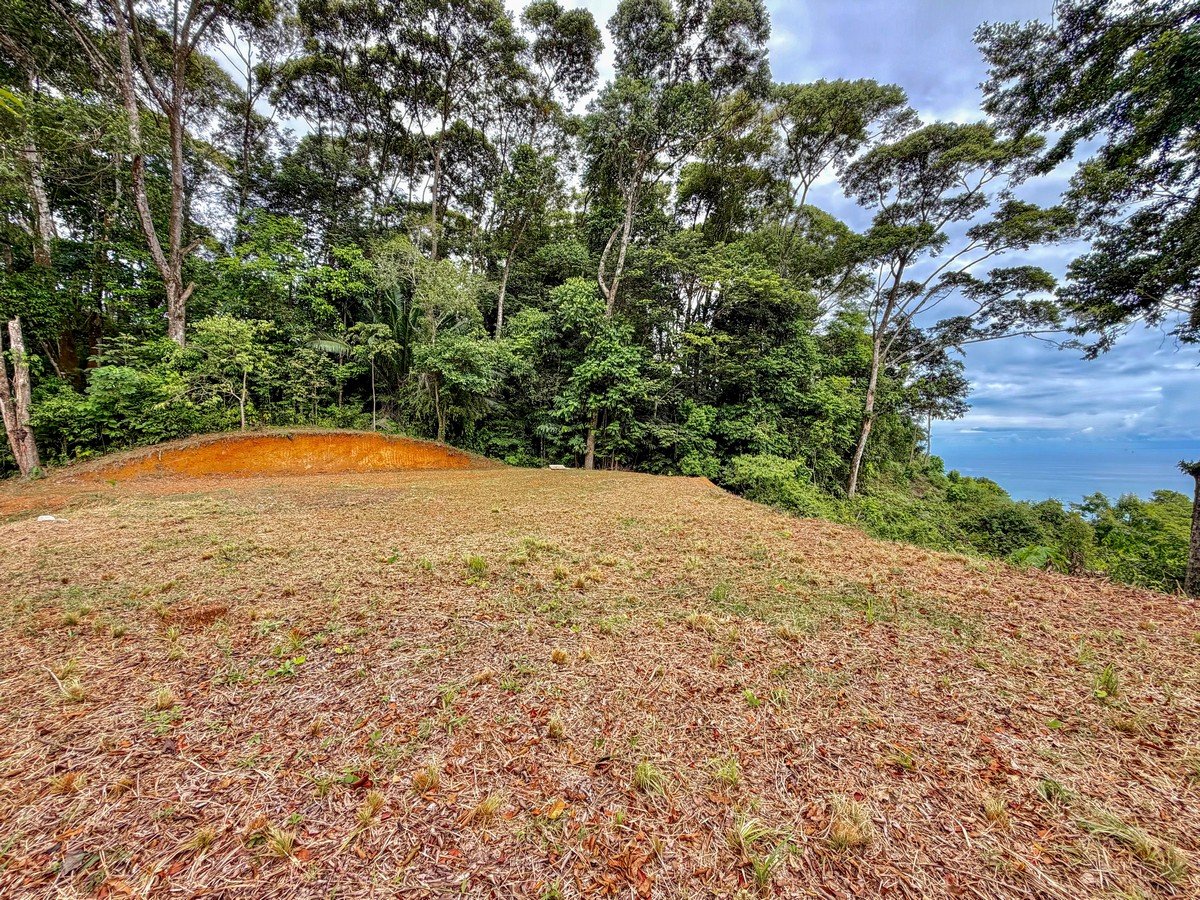 1.3 ACRES- Spectacular Ocean View Estate Lot in Lagunas de Barú, Dominical, 15min to Beaches!!!