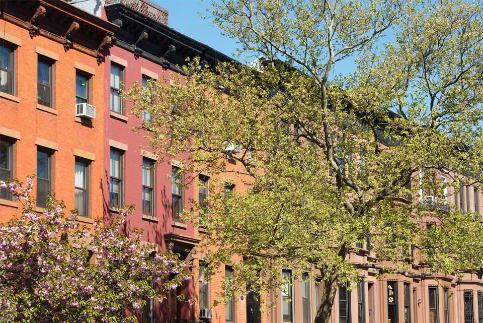 Best Blocks in Park Slope Local Agent Insights